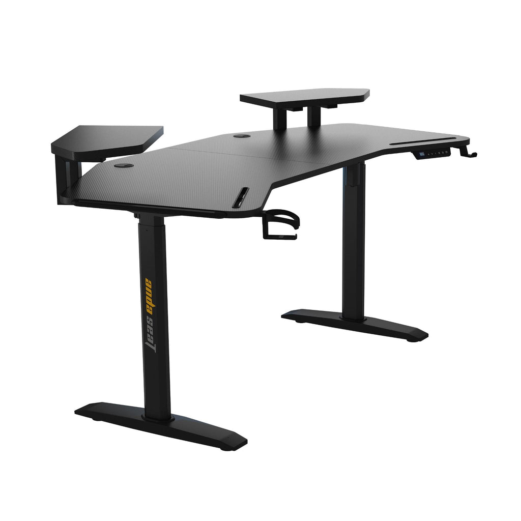 Anda Seat Shadow Warrior Gaming Desk